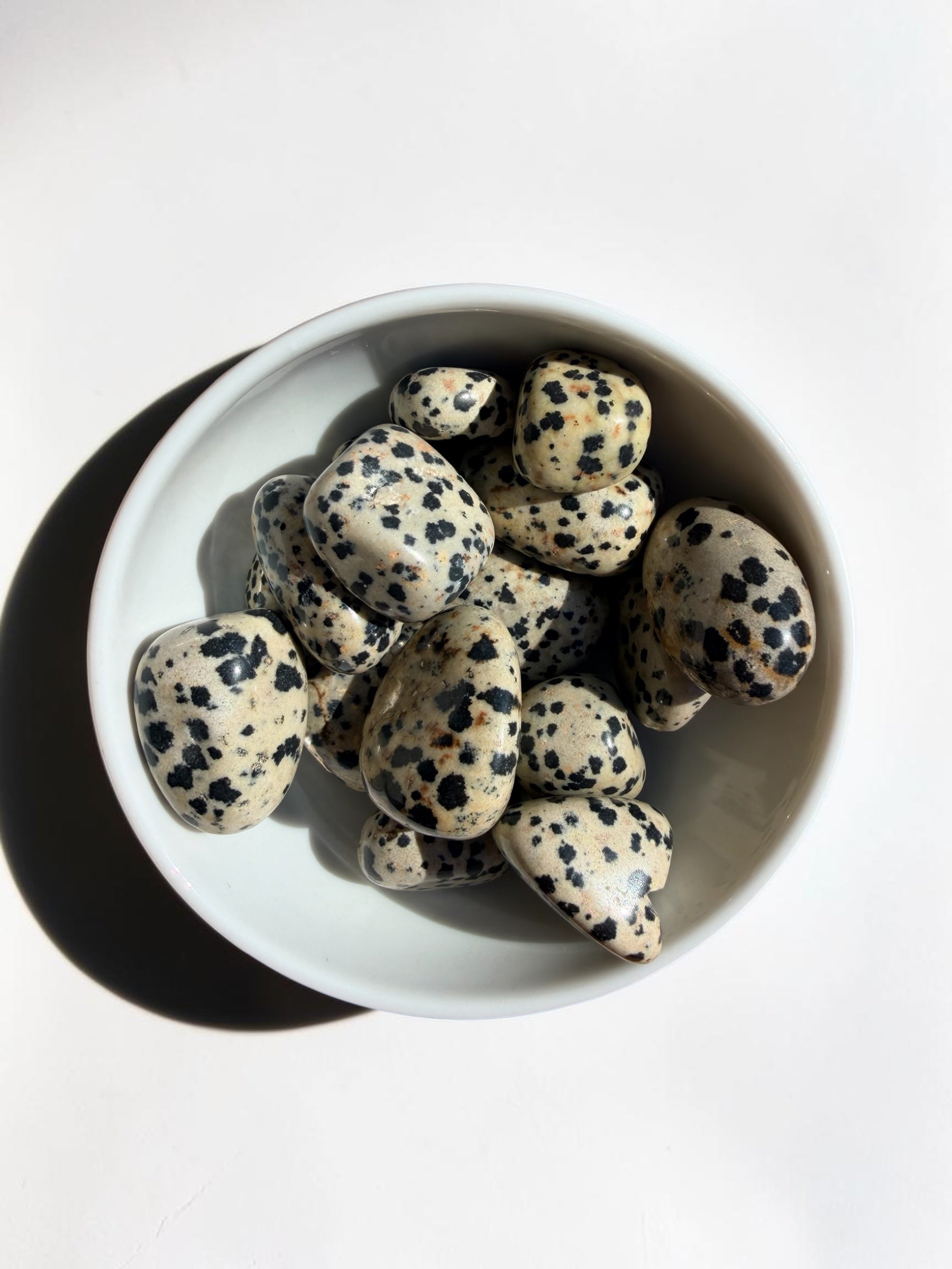 Diaspro Dalmata